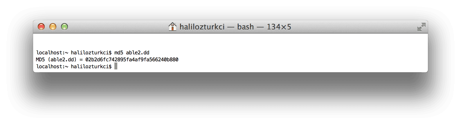 TheSleuthKit_Ornekleri_01