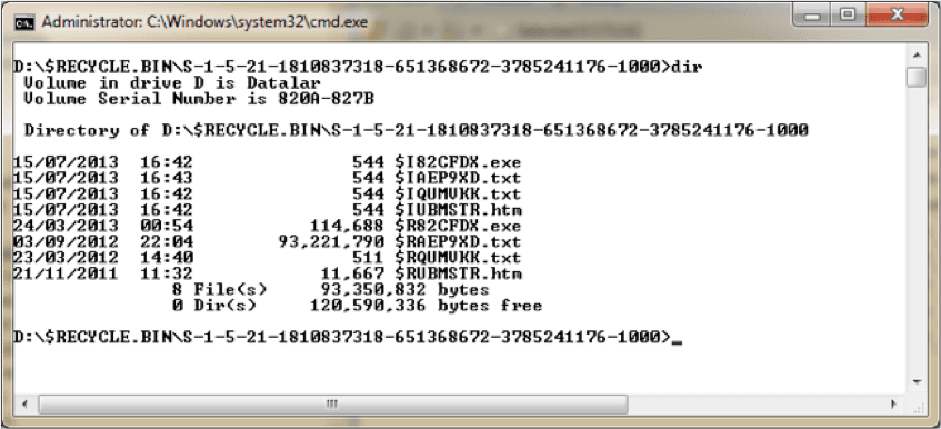 recyclebinforensics-03